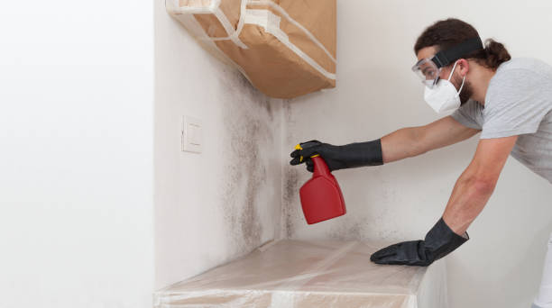Professional Attic Mold Remediation technician working in Emerson, GA