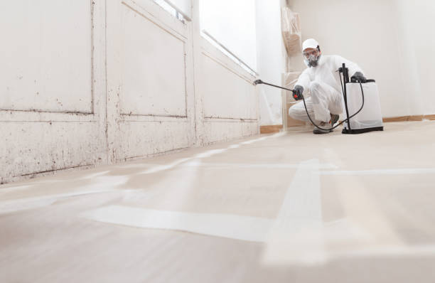24/7 Emergency Attic Mold Remediation experts in Emerson, GA