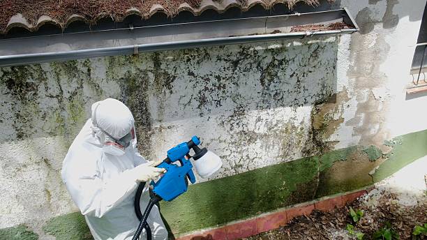Top rated local Attic Mold Remediation specialists in Emerson, GA